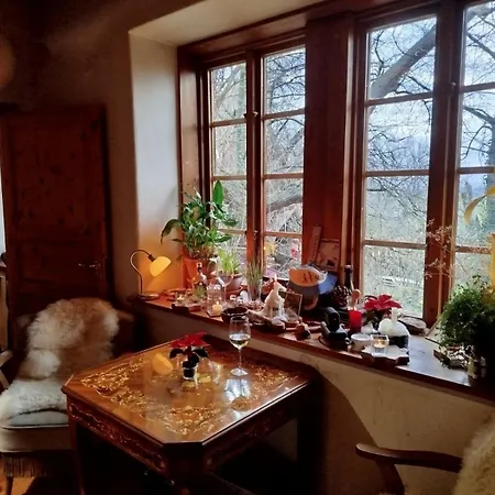 Ferienhaus Residenz Fachwerkhof Goedringen Sarstedt